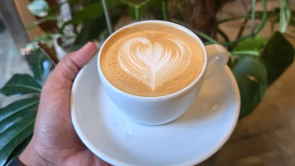 Nylon Coffee Roasters Everton Park Singapore - Specialty Colombian Pour Over Coffee - Best Roaster in HDB