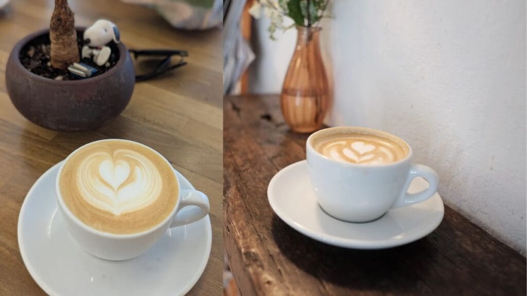 Nylon Coffee Roasters Everton Park Singapore - Specialty Colombian Pour Over Coffee - Best Roaster in HDB