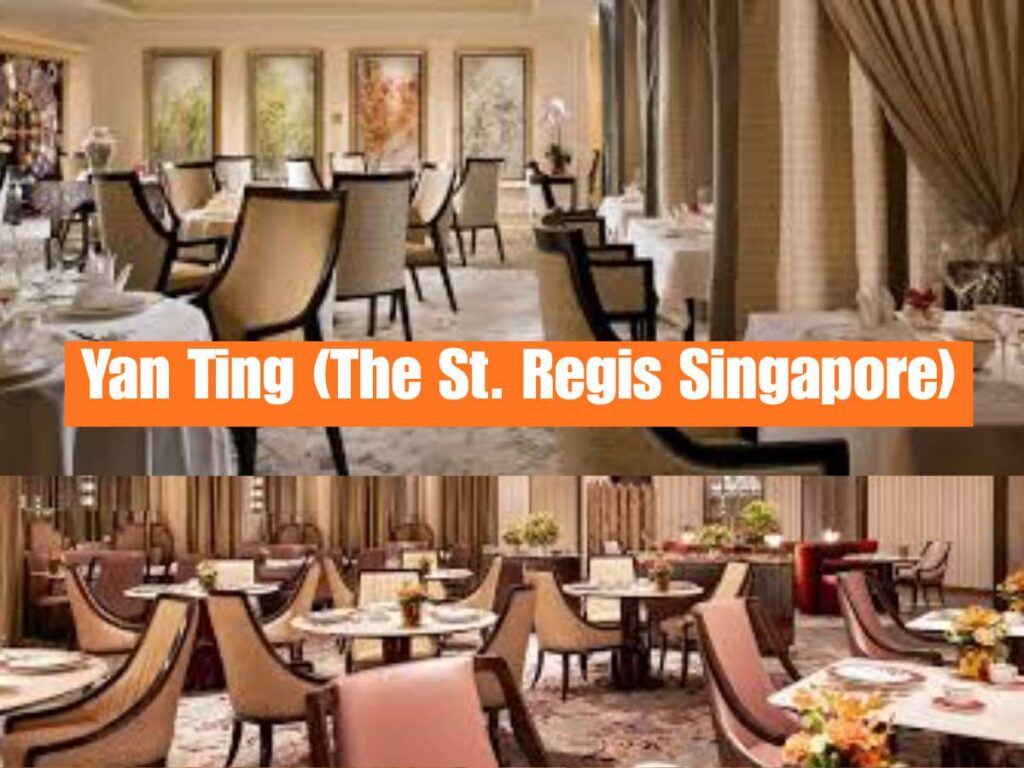 Dim Sum Singapore: Best Places, Prices & Complete Guide