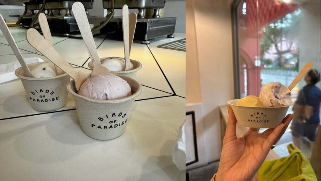 Birds of Paradise: Minimalist botanical gelato with White Chrysanthemum scoop and thyme cone - Best Dessert in Singapore   