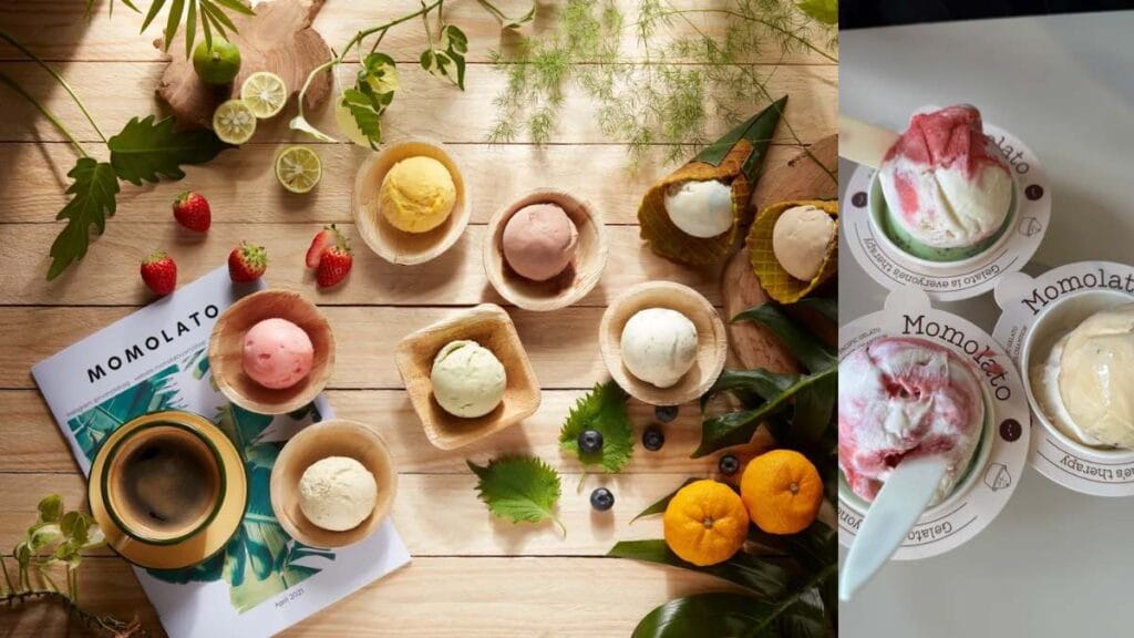 Momolato: Premium Mao Shan Wang durian gelato at a halal-certified Haji Lane shop - Best Dessert in Singapore   