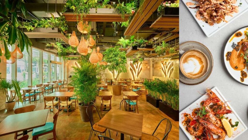 Canopy cafe brunch and coffee spot at Changi City Point Singapore Changi City Point Food Guide