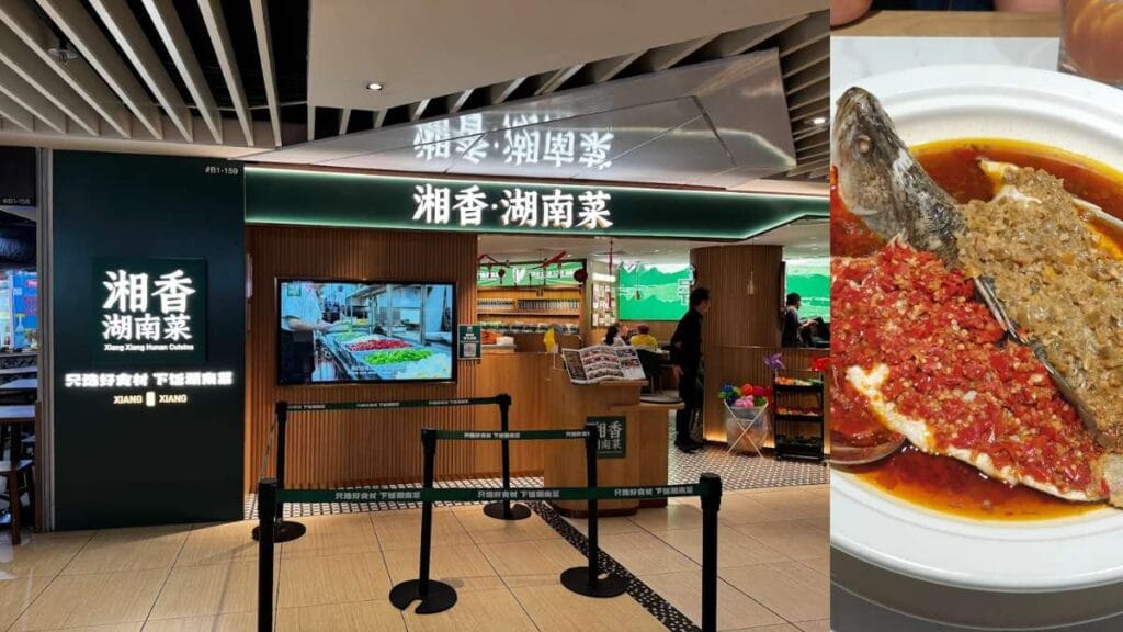 Suntec City Food Guide (2026): 25 Best Places to Eat, Halal, Cheap & Hidden Gems 4 Xiang Xiang Hunan Cuisine: Spicy Hunan stir-fry pork with green peppers Suntec City Food