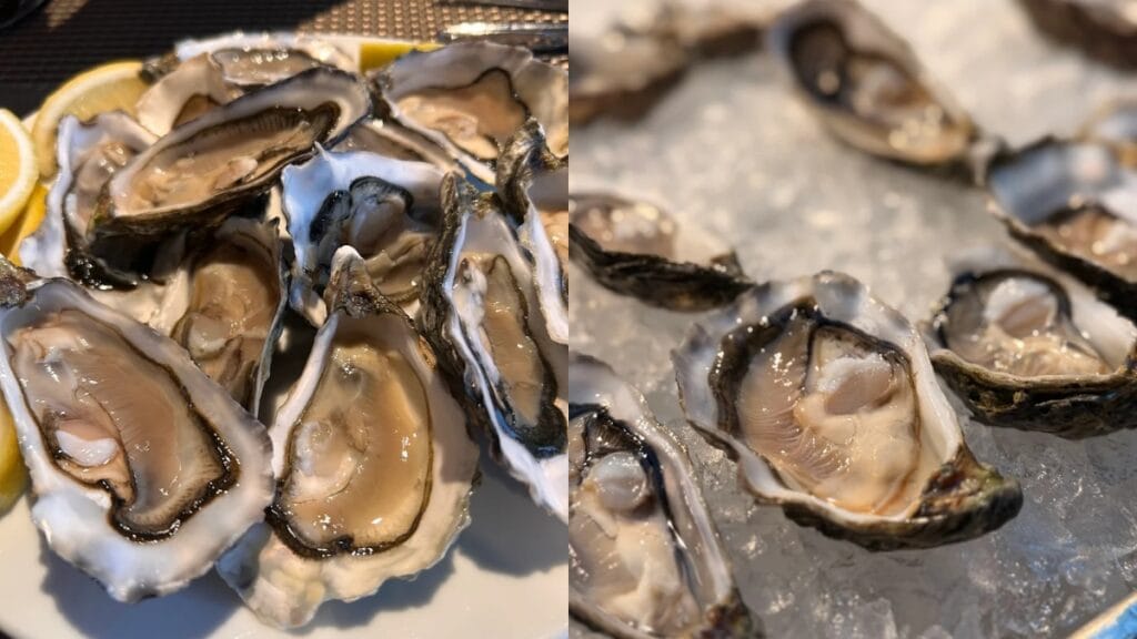 CLOVE Swissôtel The Stamford Buffet Review (Seafood, Prices & Highlights) 7 CLOVE Seafood oysters