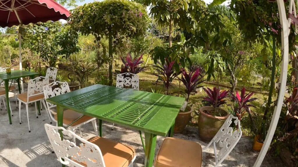 Best Dog Cafe Singapore: 26 Pet-Friendly Spots (2026) 21 A dog exploring the rustic countryside outdoor tables at Poison Ivy Bistro, a unique farm dog cafe in Kranji.