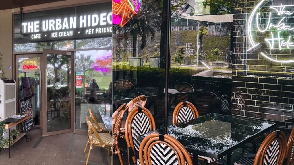 Best Dog Cafe Singapore: 26 Pet-Friendly Spots (2026) 25 A dog sitting outside the glass storefront of The Urban Hideout, a quiet neighborhood dog friendly cafe singapore in Springside.