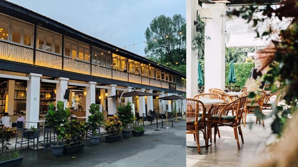 Best Dog Cafe Singapore: 26 Pet-Friendly Spots (2026) 16 Dogs walking on the wide open lawns of Wheeler's Estate, a massive dog friendly cafe singapore in Seletar Aerospace Park.