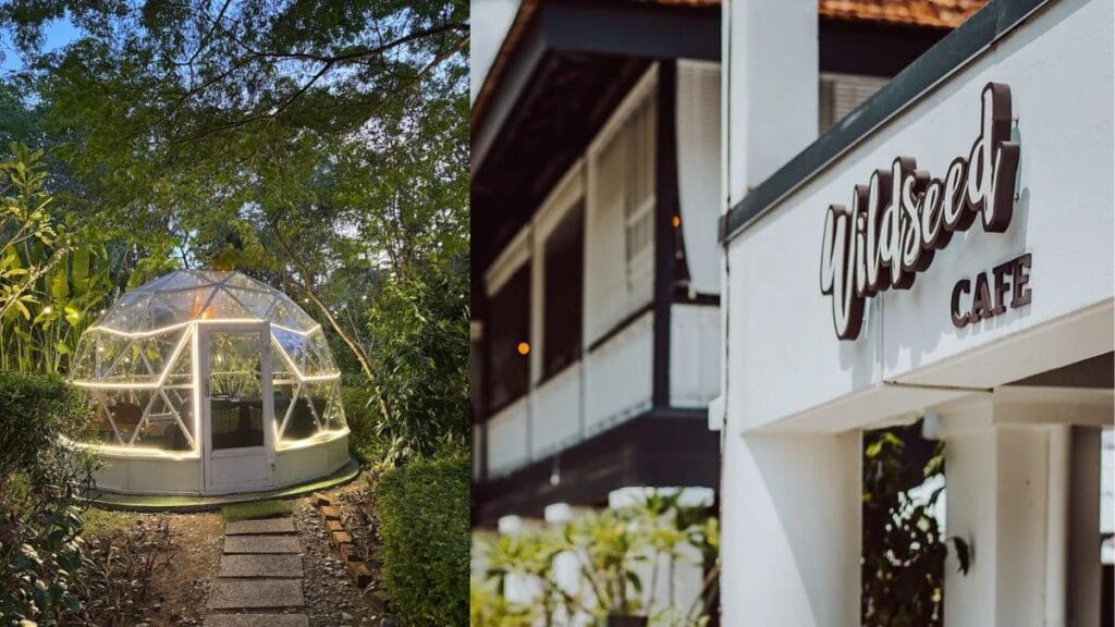 Best Dog Cafe Singapore: 26 Pet-Friendly Spots (2026) 13 A dog sitting near a lighted floral garden dome at Wildseed Cafe, a picturesque dog cafe singapore in Seletar.