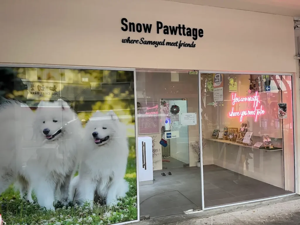 Best Dog Cafe Singapore: 26 Pet-Friendly Spots (2026) 3 Fluffy white Samoyeds resting indoors at Snow Pawttage, a popular dog cafe singapore located in Joo Chiat.